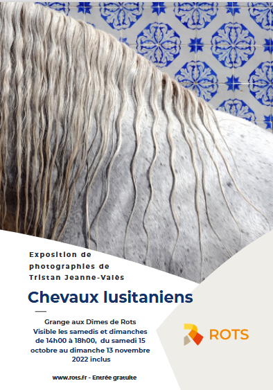 You are currently viewing expo photos – les chevaux lusitaniens