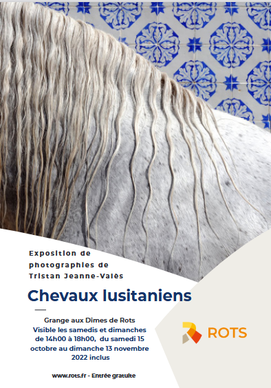 Lire la suite à propos de l’article expo photos – chevaux lusitaniens