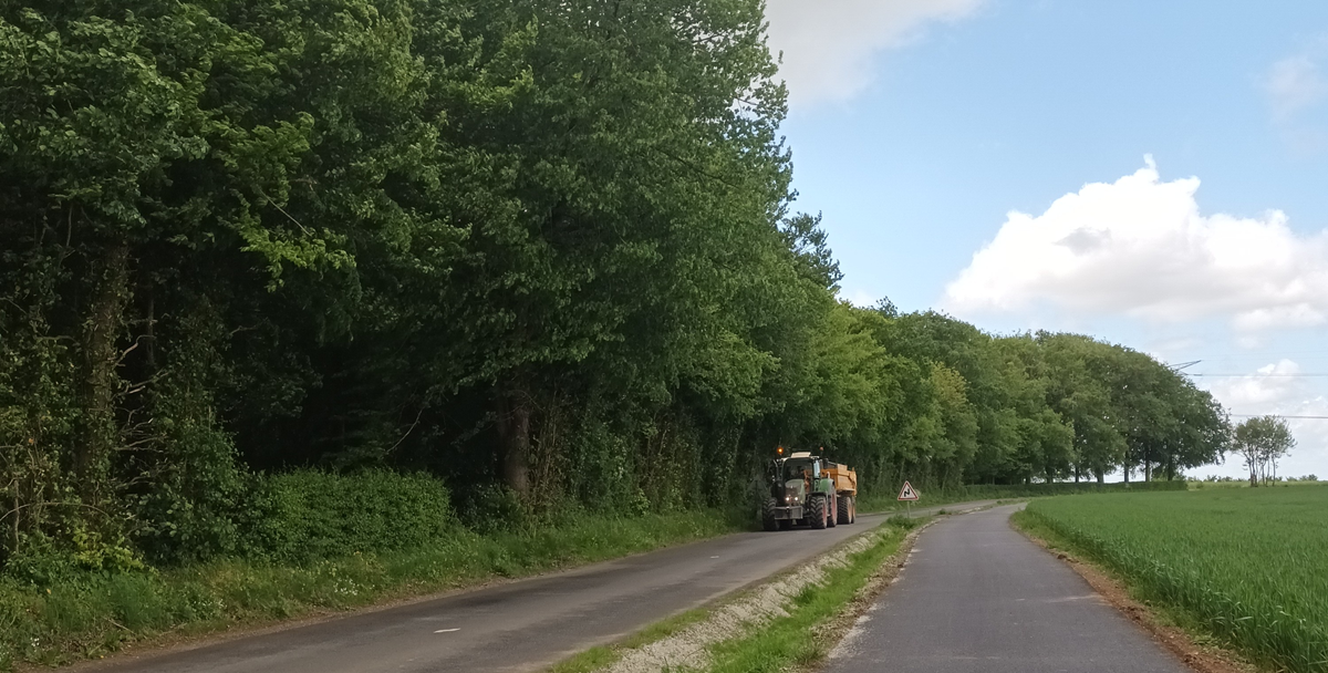 Lire la suite à propos de l’article Chemins ruraux : près de 4 km supplémentaires aménagés sur le territoire