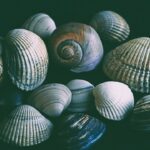 Sortie Biodiversité
