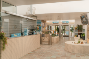 Lire la suite à propos de l’article LA PISCINE DU CHEMIN-VERT