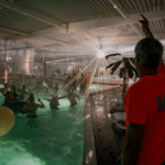 LA PISCINE DU CHEMIN VERT A 50 ANS !
